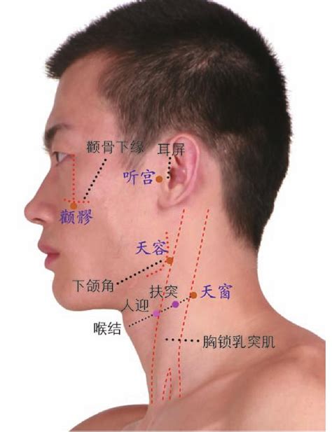 外觀穴|腧穴列表